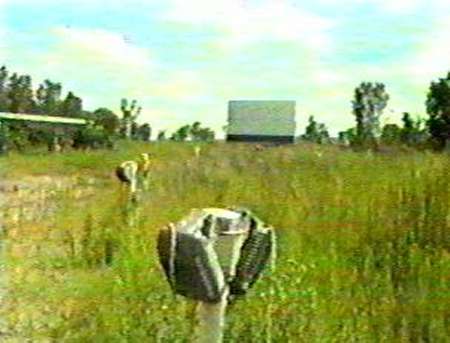 Northside Drive-In Theatre - Old Field - Photo From Rg (newer photo)